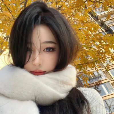 狗的生涯